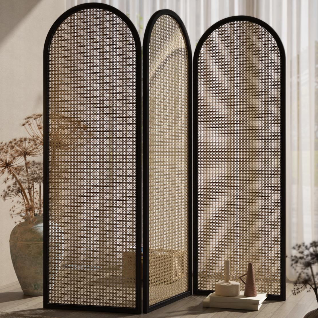 Room Partition Wall in Black with Simplistic Style, Translucent Collapsible Cane Standalone Design