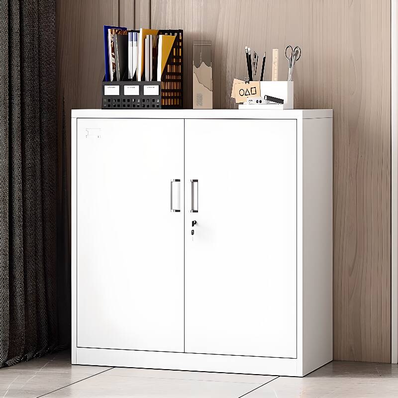 Chalk Steel Office Cabinet with Hydrophobic Drawers, Variable Shelf, Locking Door, and 2-Wide/3-Wide Compartments