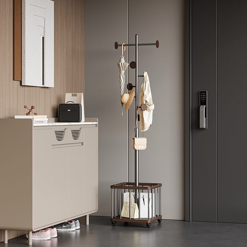 Sepia Modish Hall Rack with Container Storage, 1 Shelf, Stainless Alloy Frame, and Metal Hook