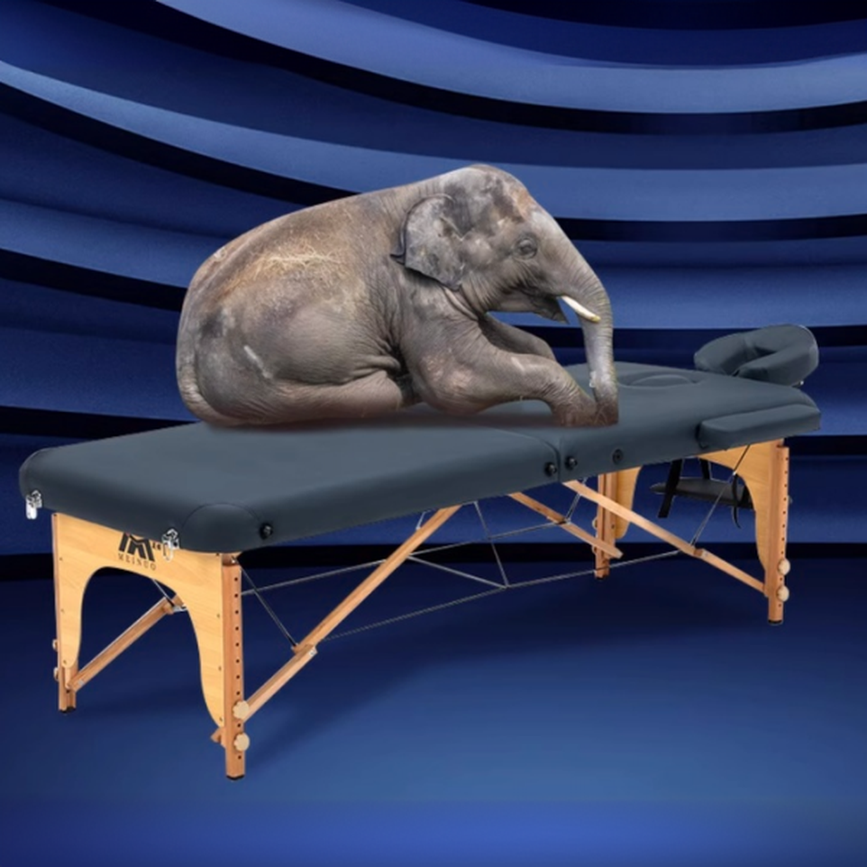 Height-adjustable Stackable Timber Facial Bed with H-Shape Base, Handy and Lightweight