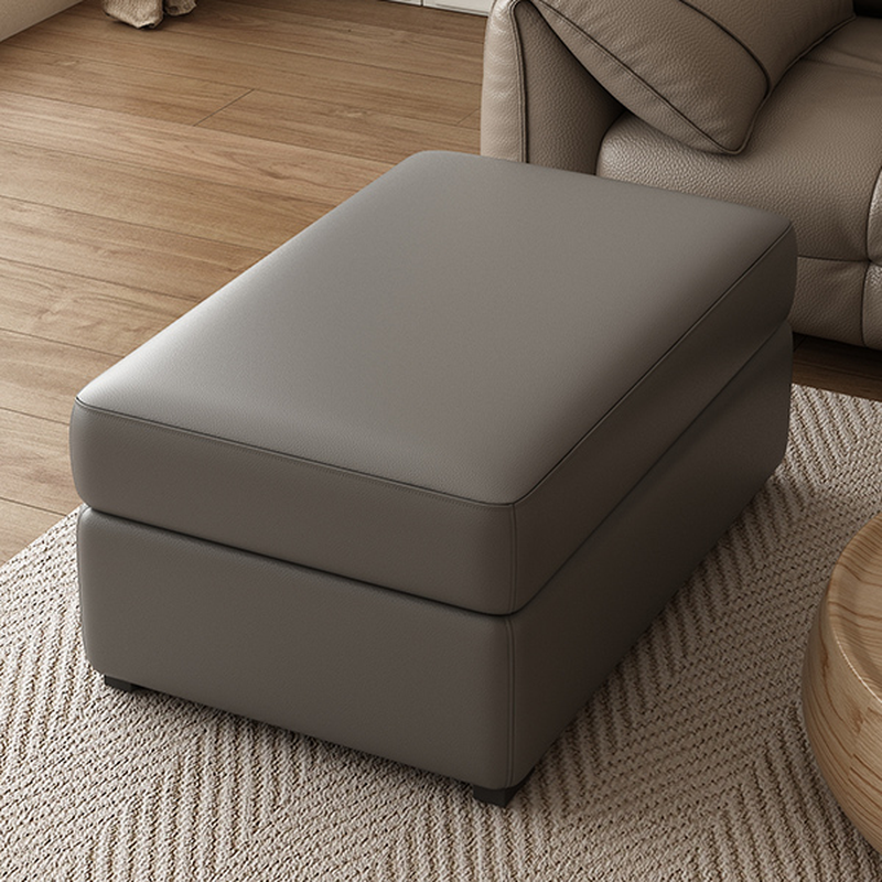 Contemporary Square/Rectangle Solid Colour Storage Ottoman in Genuine Leather with Ink/Light Gray/Citrus Colour Upholstery and Stockroom Storage