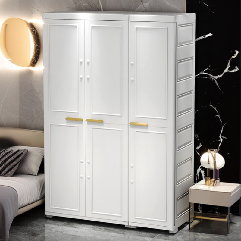 Synthetic Independent Wardrobe Closet with Adaptable Shelf and Gate