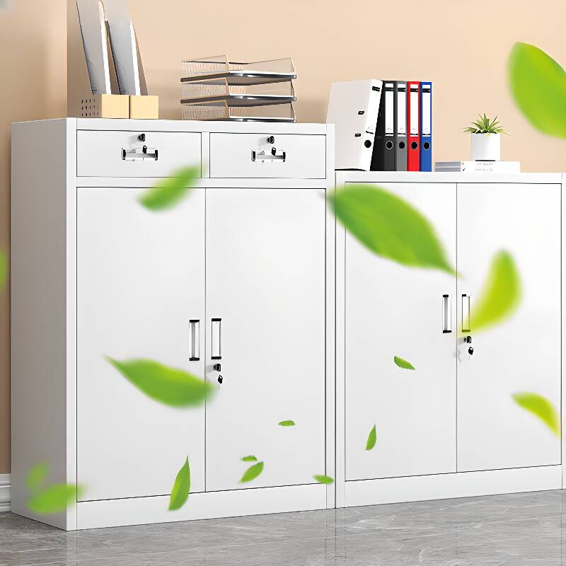 Chalk Steel Corrosion Resistant Filing Cabinet Console with Locker, Adjustable Shelving, Locking Door, and 1-Wide/2-Wide Compartments