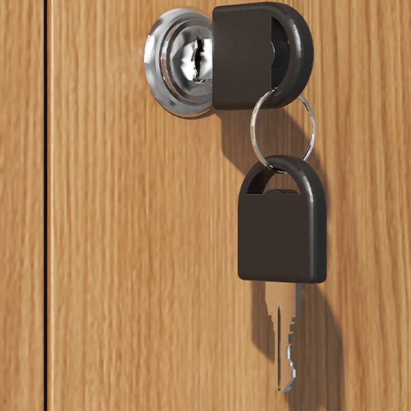 Natural Finish Steel Warp-free Filing Cabinet Console with Locker, Adjustable Shelving, and Locking Door, 1-Wide