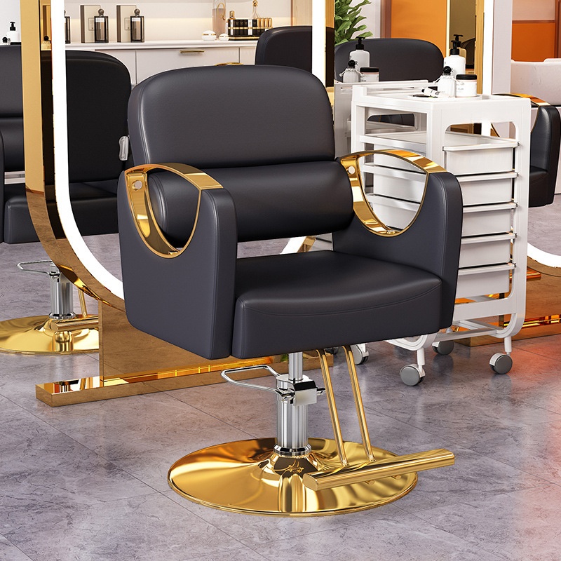 Rectangular Solid Colour Stainless Steel Styling Chair with Footrest and Adjustable Features
