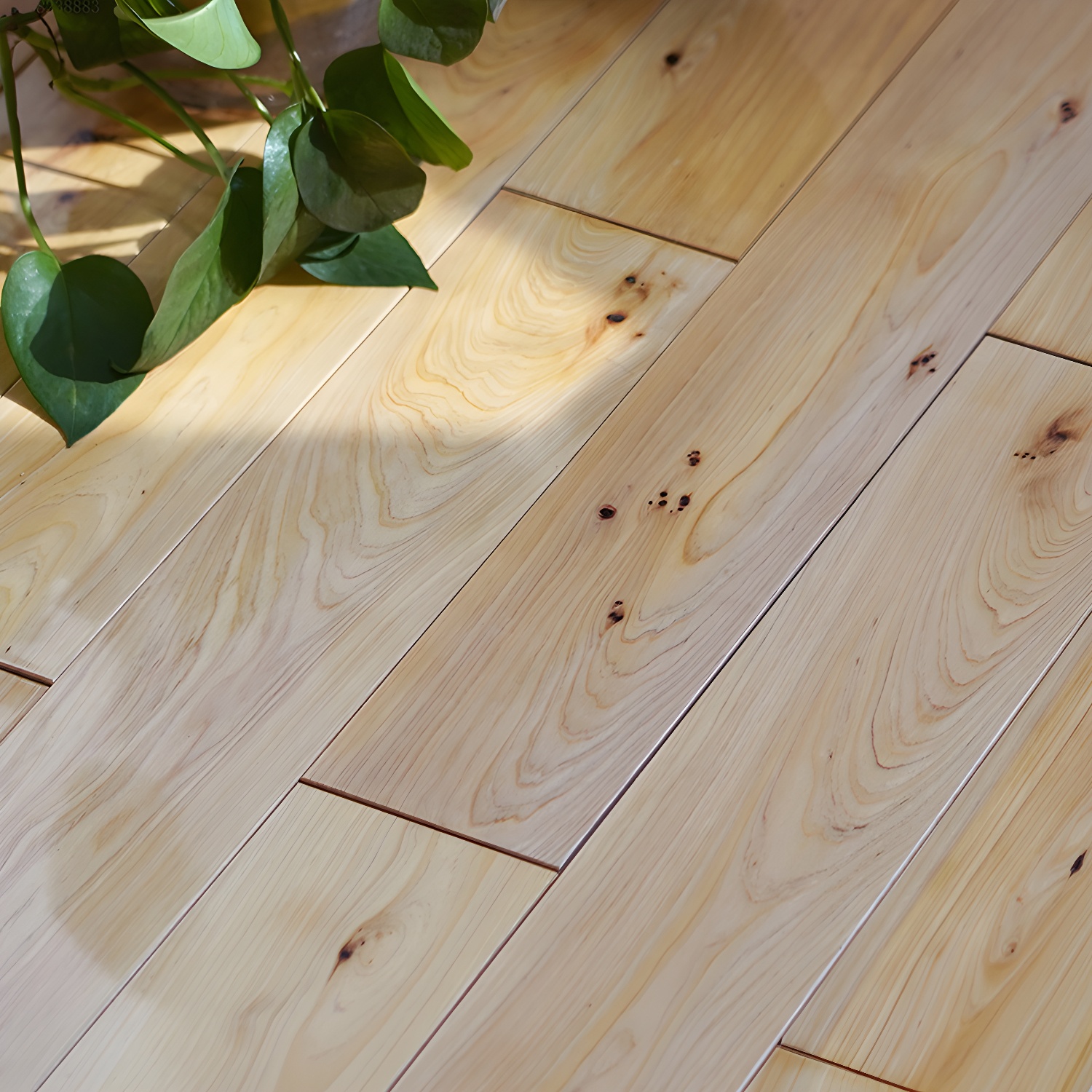 Light Cedar Tongue and Groove Hardwood Flooring in Modern Brown Finish, 1.8cm Thickness