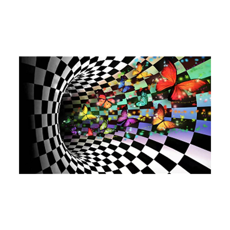 Indoor Use Novelty Visual Deception Area Rug with Medium Thickness, Anti-Slip Backing