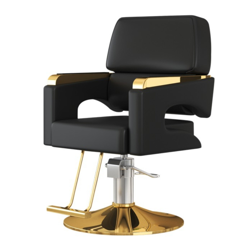 Adjustable Stainless Steel L-Shape Styling Chair with Footrest and Solid Colour Pattern