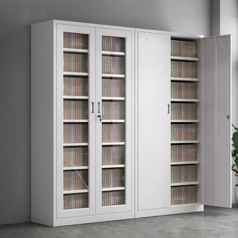 Modern Silver Iron Supplies Storage Cabinet with 2-Wide Compartments