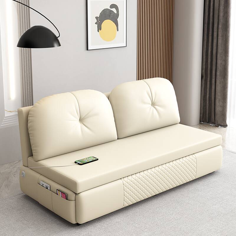 Contemporary Queen Size/Full Size Futon Sofa Bed with Cushion Back, Seats 2, Button-tufted