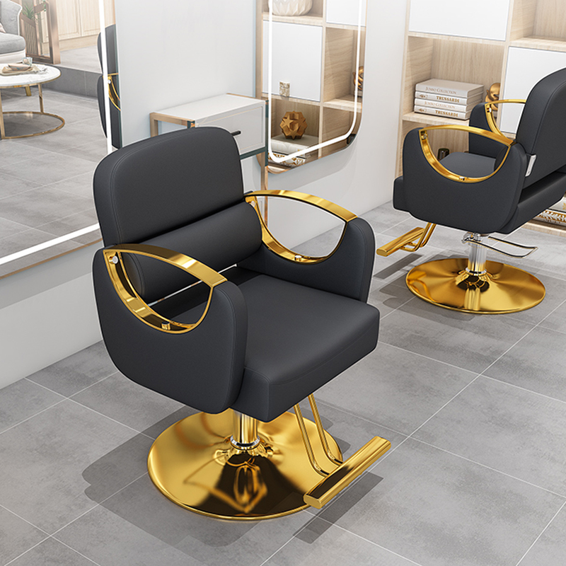 Solid Colour Styling Chair with Stainless Steel Frame, Closed Back, Adjustable Features, and Footrest